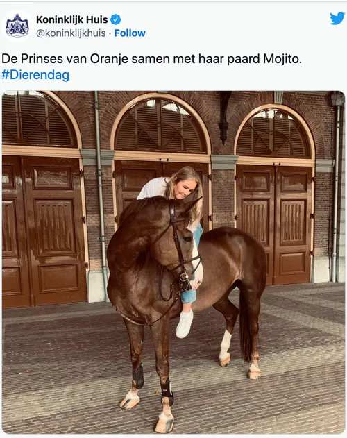 schermafbeelding 2022 10 05 om 142016