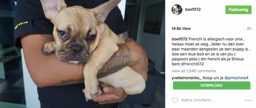 screen shot 2016 08 31 at 81519 pm