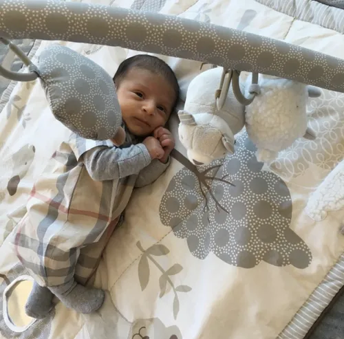 screen shot 2016 11 27 at 113206 am