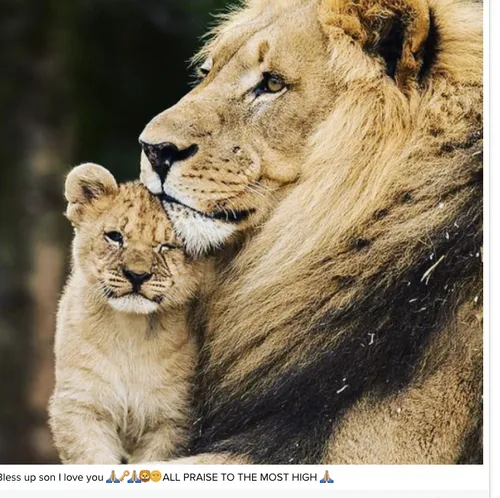 screen shot 2016 11 27 at 113225 am