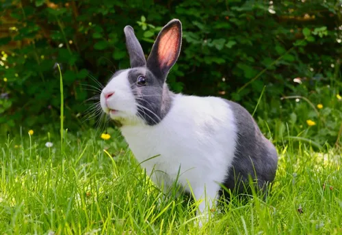 whatsapp image 2023 09 21 at 170706