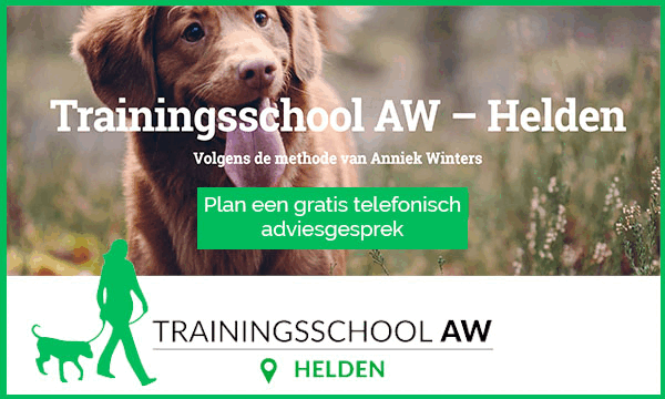 trainingsschool aw helden bb 2023