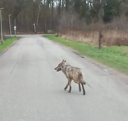 whatsapp image 2023 02 24 at 173944 1