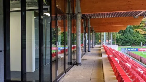 herdgang1 en español