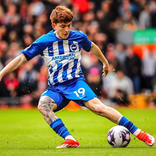 colobarco 1711924359 3336185790856112151 1625924249