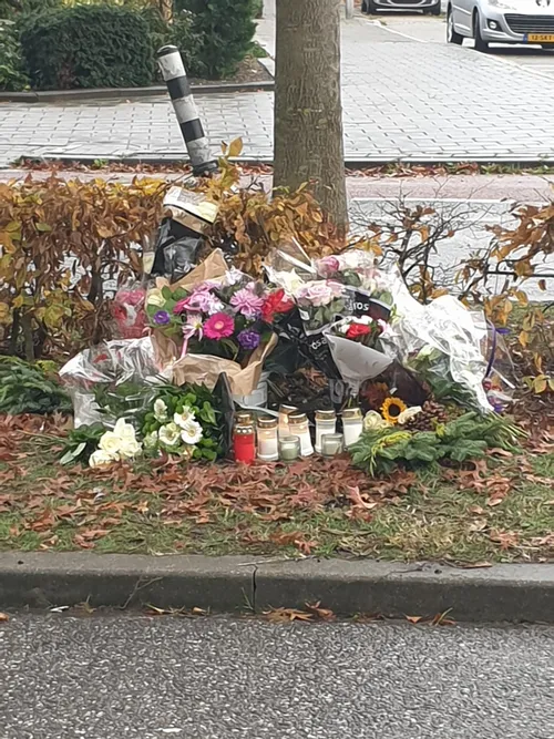 whatsapp image 2021 11 02 at 154551