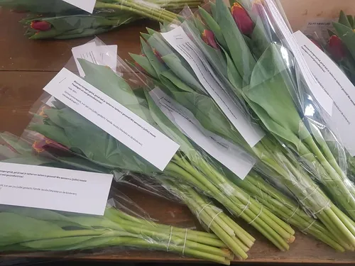 168882405 3809228835831910 2231004269153986205 n