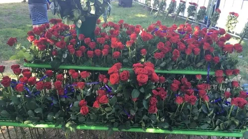 18 06 bloemen voor gitte