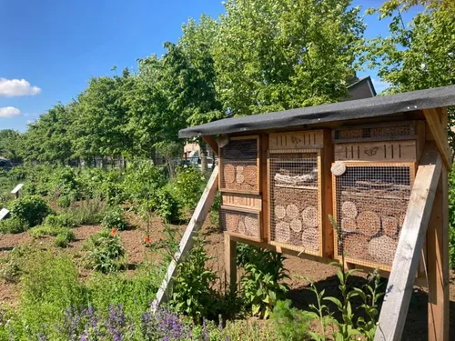 191121398 1926006974219810 5231939017635836268 n