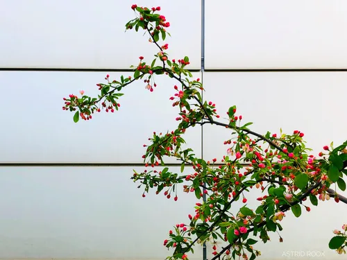 91243413 660189807878524 2877955201619197952 n