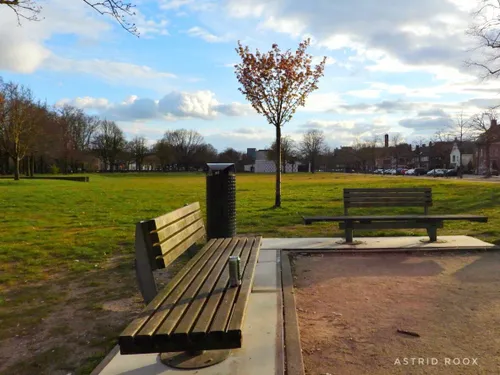 91390215 711933189572015 8796782540552667136 n