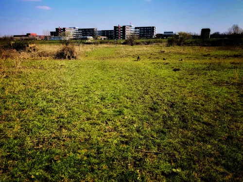 92250729 205810920723718 6008647109526421504 n