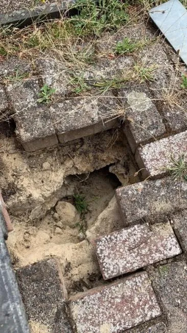 beverproblematiek tegelen 2