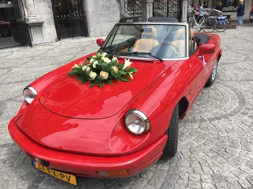 cabrio rent