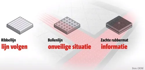 crow blindengggeleiden