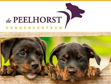 image006 e1607889645710