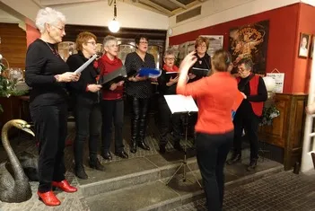 koor symbiose en vme