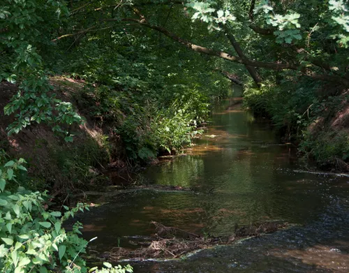natuurbegraafplaats venlo maasbree water