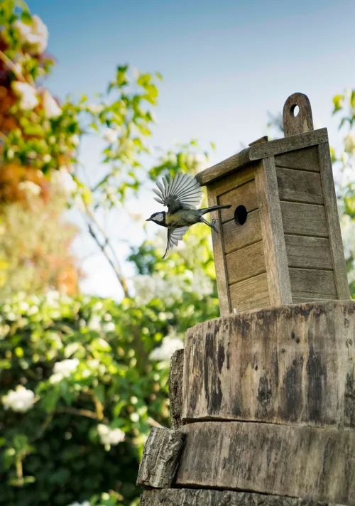 robvansoest eersteprijs1
