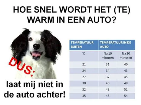 tempratuur hond