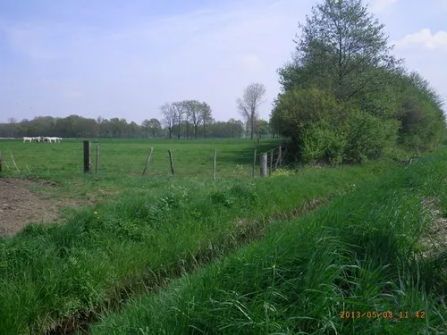 teutebeek met wei 640x480px