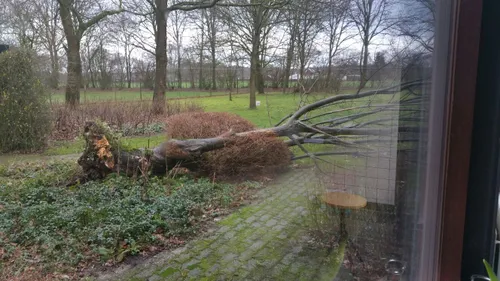 whatsapp image 2018 01 18 at 135220