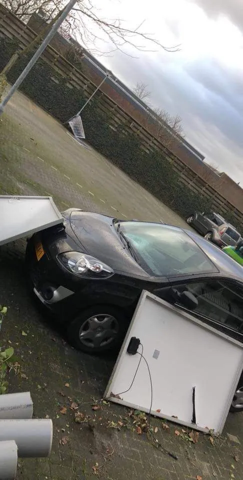 whatsapp image 2018 01 18 at 135221 2