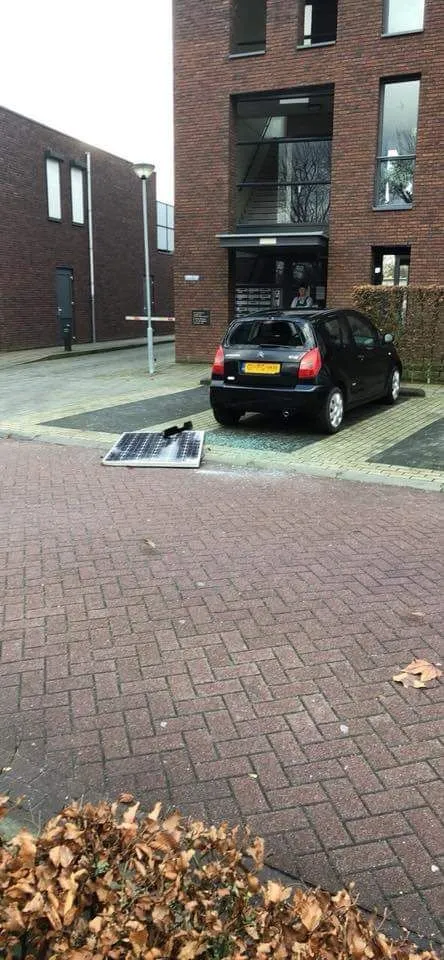 whatsapp image 2018 01 18 at 135221