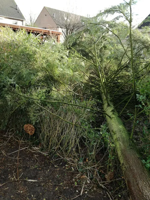 whatsapp image 2018 01 18 at 150220