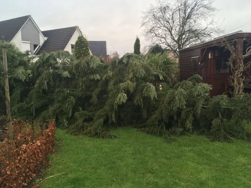 whatsapp image 2018 01 18 at 150221