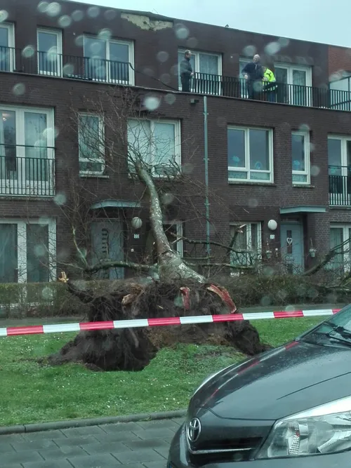 whatsapp image 2018 01 18 at 151549