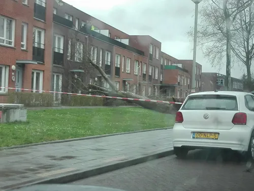 whatsapp image 2018 01 18 at 151550