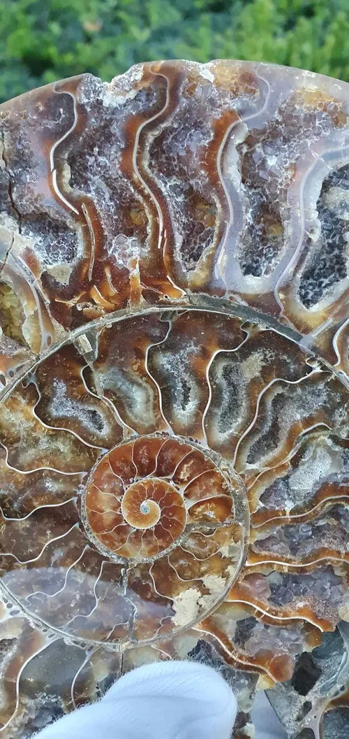 whatsapp image 2023 10 09 at 183534 1