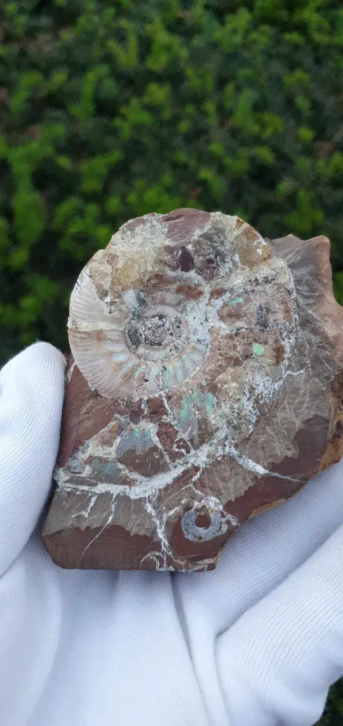 whatsapp image 2023 10 09 at 183535 1