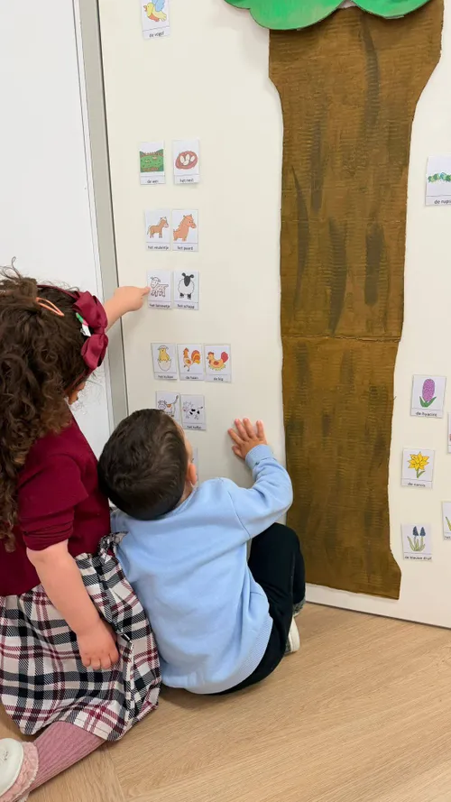 original-02C587F9-98AD-4306-A8FD-BA09CA706D4A