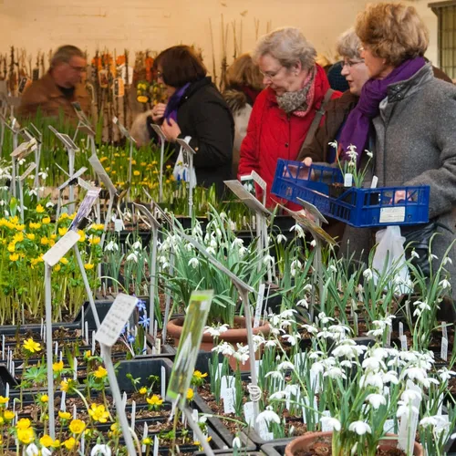 05 sneeuwklokjesfeest 5 evm7804