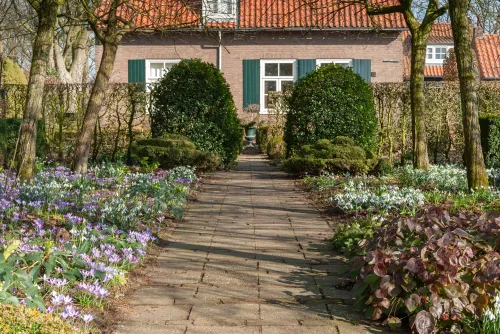 06 sneeuwklokjesfeest evn56421