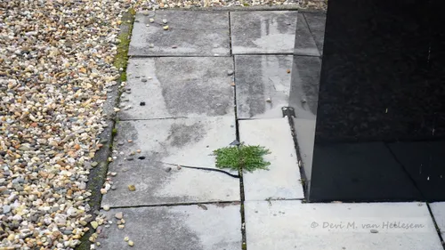 09 03 gestolen beelden 9