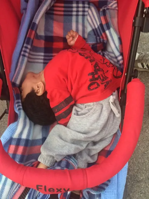 12924388 910592679038228 8230901617871727399 n