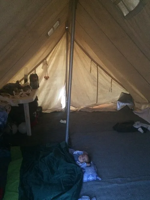 12974548 911909038906592 9003164418213936477 n