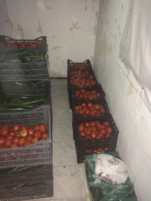 12994580 912480538849442 254738410842060844 n