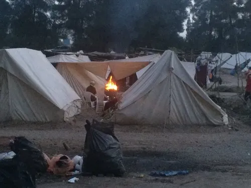 13000259 911909185573244 2510659334069486014 n