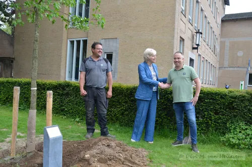 22 5 planten boom gemeentehuis 10
