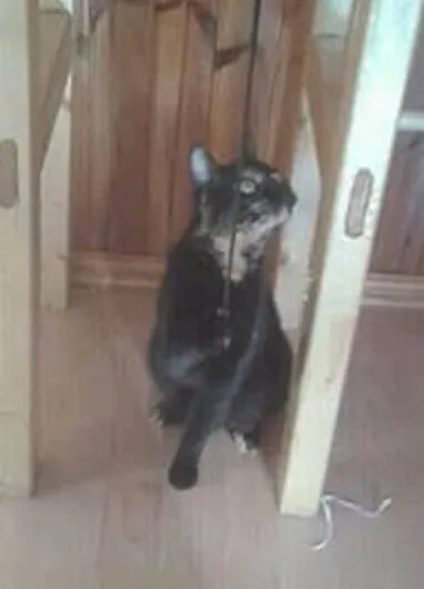 23202009 289104778265879 195795428 n