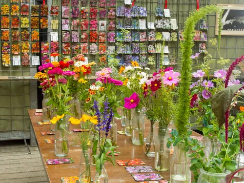 39 zomerbloemenfestijn theo van liempt