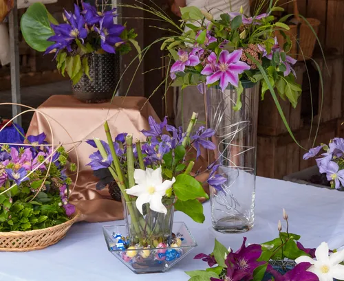 48 clematis rozen specialiteitenmarkt 3 evn5219