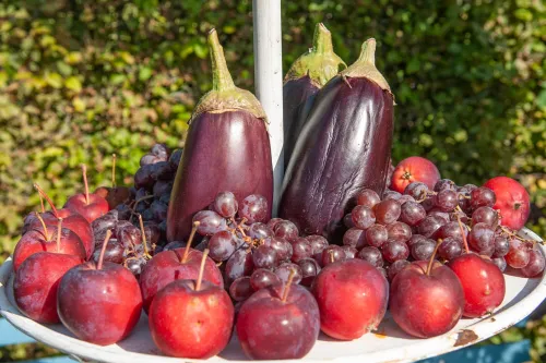 51 oogstfair evn5547