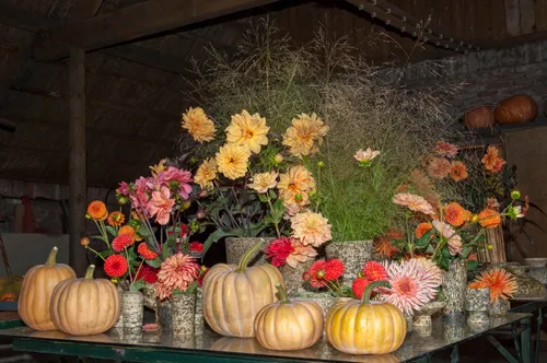 52 oogstfair 3 tvl4801