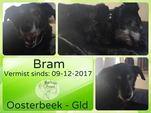 bram