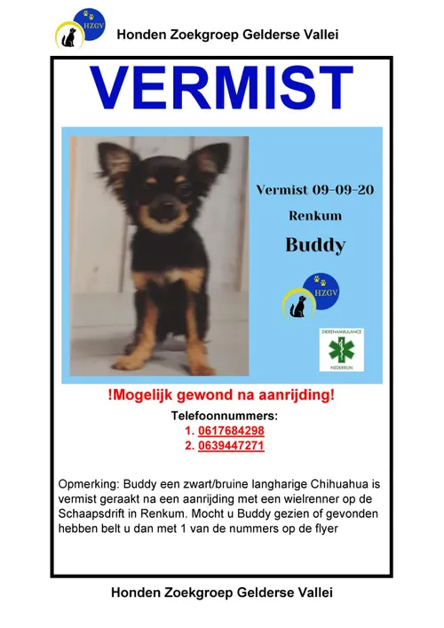 buddy renkum flyer page 001